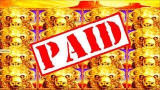 MASSIVE WIN! • Is 78 Free Spins Enough To CAPTURE ALL 15 GOLD BUFFALOS? Slot Winning W/ SDGuy1234