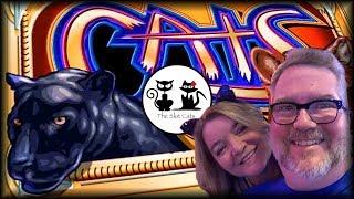 Cats •• Mighty Cash Dragon Flies Tiger Roars •