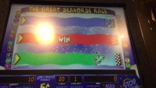 Amazing Seamonkeys Slot Machine Seahorse Race Bonus New York Casino Las Vegas
