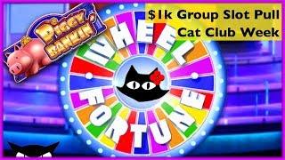Cat Club Week • $1000 Group Slot Pull • The Slot Cats •