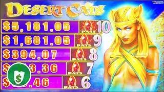 •️ NEW -  Desert Cats slot machine, bonus