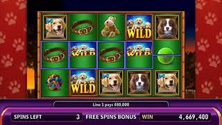 PAWPALOOZA Video Slot Casino Game with a PAWPALOOZA FREE SPIN BONUS