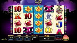 Miss Kitty• free slots machine game preview by Slotozilla.com