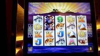 Buffalo Slot Machine Bonus Win (queenslots)
