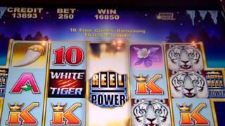Jackpot Reel Power Max Bet Free Spins BIG WIN
