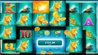 £100 On Raging Rhino Then The Greed Kicked In