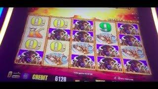 HANDPAY!!!  Another huge win on buffalo gold slot