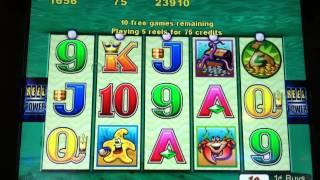 Awesome Whales Of Cash Slot Machine 25 Spin Bonus 2 Whales In Trigger!