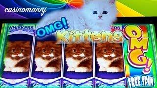WMS - OMG! Kittens - Slot Machine Bonus
