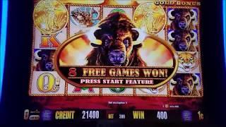 Buffalo Gold Slot Machine Bonus and Buffalos Line Hit
