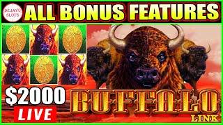 WE PUT OVER $2000 IN HIGH LIMIT BUFFALO LINK SLOT THIS IS WHAT HAPPENED