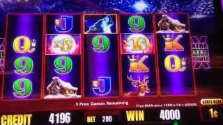 •Timber Wolf Deluxe Slot Machine•5 x 10 BONUS BIG WIN! •$2.00 bet x 377