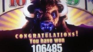 BUFFALO Slot MAX BET- HUGE BONUS WIN