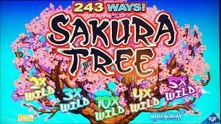 ++NEW Sakura Tree slot machine, DBG