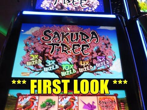 Sakura Tree *** First Look ***