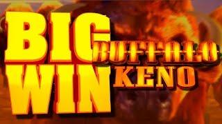 Up to 81X Multiplier?! SIGN ME UP! LIVE PLAY on NEW Buffalo Keno Slot Machine W/ Bonuses & HUGE WIN!
