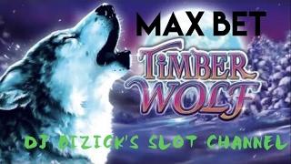 *~ MAX BET BONUS ~* Timber Wolf Slot Machine!!! ~ FREE SPINS MAX BET! • DJ BIZICK'S SLOT CHANNEL