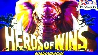 Herds of Wins Slot - *NICE SLOT WIN* - Slot Machine Bonus