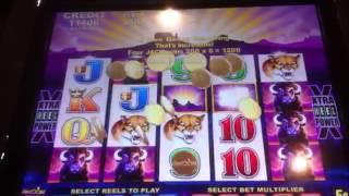 OVER $40,000 IN JACKPOTS! MY TOP 6 SLOT MACHINE HITS! CELEBRATING 4 YEARS!
