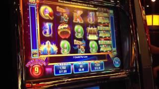 Electric Nights slot machine MINOR PROGRESSIVE on 40 Free spins