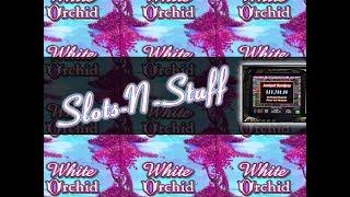 White Orchid High Limit Play • Slots N-Stuff