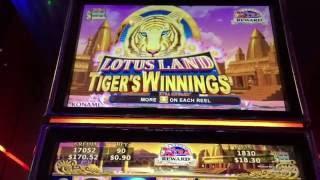 Lotus Land Tiger's Winnings Slot Machine ~ KONAMI ~ FREE SPIN BONUS WITH RETRIGGERS!!! • DJ BIZICK'S