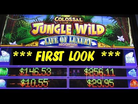 *** First Look - Colossal Jungle Wild + Big Progressive Win!