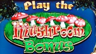 Money Mad Mushrooms £100 Community Slot
