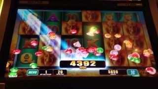 WMS' Raging Rhino Slot Machine - Nice Line Win