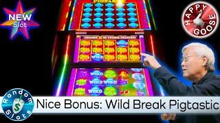⋆ Slots ⋆️ New ⋆ Slots ⋆ Wild Break Pigtastic Slot Machine, Nice Bonus