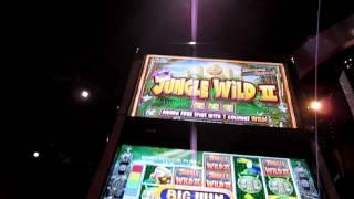 Jungle Wild II 5c bonus round - BIG WIN!