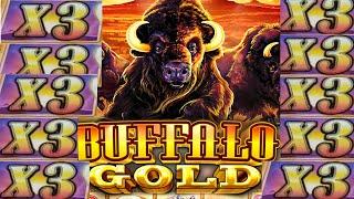Buffalo Gold 100x win free spins (Vlogmas Day 2) #shorts