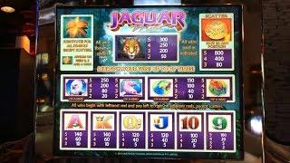 Jaguar Mist Slot Machine, Nice Bonus Win, Poor Focus
