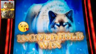 ★ Slots ★THIS WOLF SAVED ME AGAIN !!★ Slots ★50 FRIDAY #121★ Slots ★BUFFALO DELUXE/88 FORTUNES DIAMO