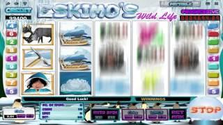 Eskimo's Wild Life• online slot by iSoftBet | Slototzilla video preview