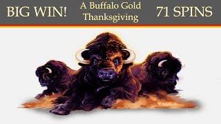 BIG WIN!!  Buffalo Gold  71 Spins!!