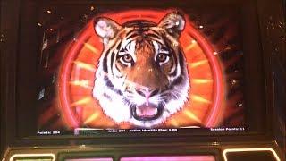The Hangover Pretty Awesome Slot Machine Bonus