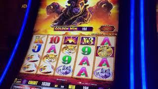 BUFFALO GOLD SLOT * $3.00 bet * GREAT WIN* live play • Slot Queen