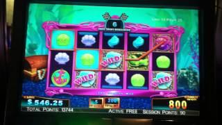 Goldfish Race for the Gold Slot Machine Bonus - Free Spins