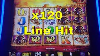 Buffalo Gold Slot Machine  Bonus and Big Win •Line  HIT• (x120)