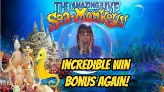 Incredible Huge Win Bonus with the Amazing Live Sea Monkeys!