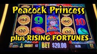 Peacock Princess & Rising Fortunes - Bonuses and High Limit Play
