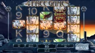 The White King Slot Preview (Playtech)