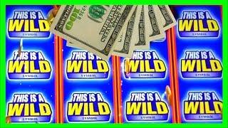 AFTERNOON DELIGHTFUL WINS on Anchorman Slot Machine Bonuses with SDGuy1234