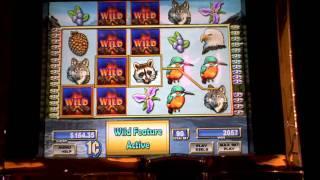 Cascade Mountain slot machine bonus wn
