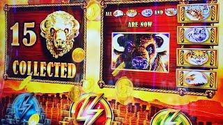 ⋆ Slots ⋆ 15 GOLD BUFFALO HEADS LIVE FOR MY BIRTHDAY! ⋆ Slots ⋆