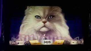 IGT Winner's Choice 2 Kitty Glitter Slot Machine Bonus (2 clips)