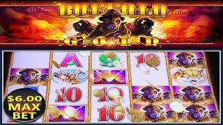• BUFFALO GOLD • ALL I CAN SAY IS WOW • MAX BET $6.00 • LIVE PLAY SLOT MACHINE •