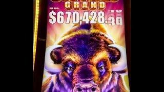 Buffalo Grand Slot Machine Bonuses