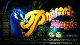 Aristocrat Technologies - Peacock Magic Slot Bonus WIN